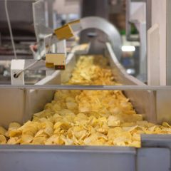 Crisp conveyor